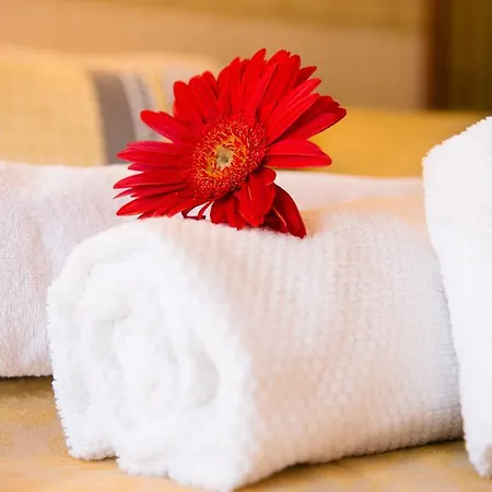 Hotel Amadeus 3*